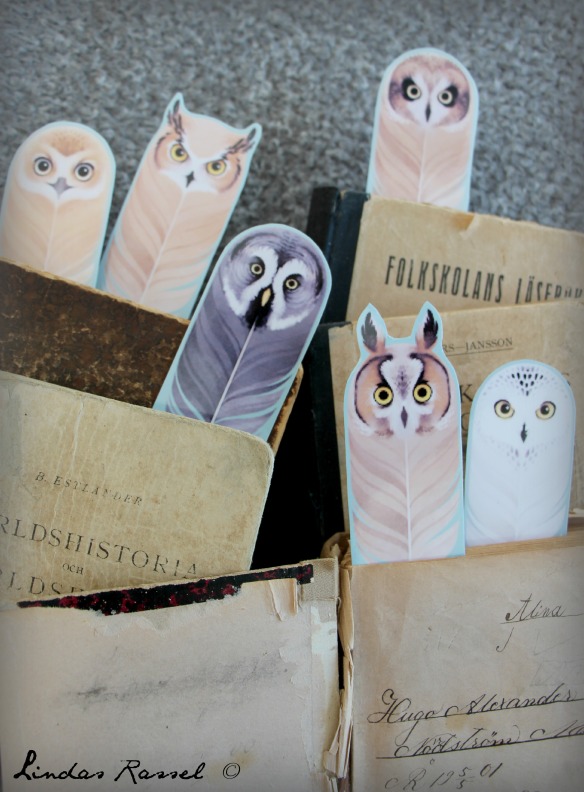 Free printables owl